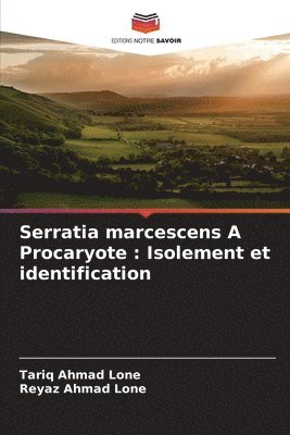 Serratia marcescens A Procaryote