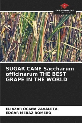 SUGAR CANE Saccharum officinarum THE BEST GRAPE IN THE WORLD
