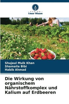 Die Wirkung von organischem Nährstoffkomplex und Kalium auf Erdbeeren