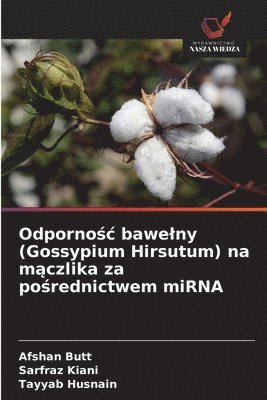 Afshan Butt, Sarfraz Kiani, Tayyab Husnain - Odpornośc bawelny (Gossypium Hirsutum) na mączlika za pośrednictwem miRNA, Häftad. Tillgänglighet: Lägg i varukorg