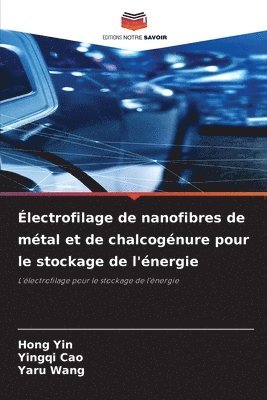 Électrofilage de nanofibres de métal et de chalcogénure pour le stockage de l'énergie