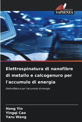 Elettrospinatura di nanofibre di metallo e calcogenuro per l'accumulo di energia
