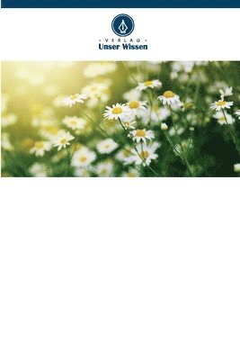 Häufige Grammatikfehler beim Schreiben von ESL-Lernenden in Gujarat