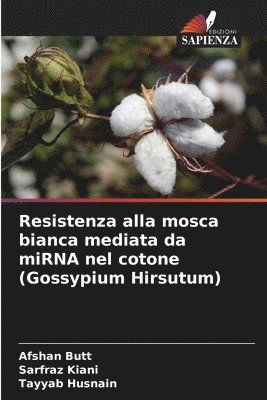 Afshan Butt, Sarfraz Kiani, Tayyab Husnain - Resistenza alla mosca bianca mediata da miRNA nel cotone (Gossypium Hirsutum), Häftad. Tillgänglighet: Lägg i varukorg