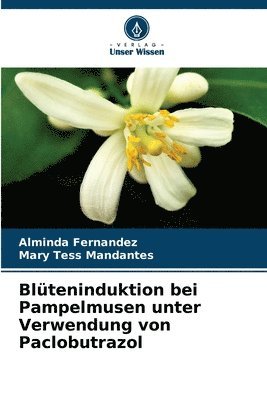 Blüteninduktion bei Pampelmusen unter Verwendung von Paclobutrazol