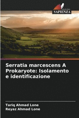 Serratia marcescens A Prokaryote