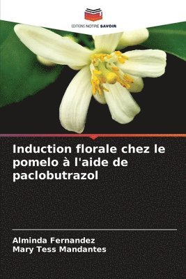 Induction florale chez le pomelo à l'aide de paclobutrazol