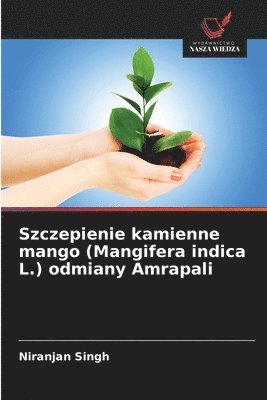 Szczepienie kamienne mango (Mangifera indica L.) odmiany Amrapali
