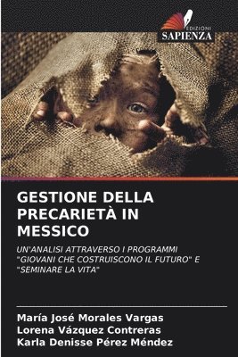 Gestione Della Precarietà in Messico