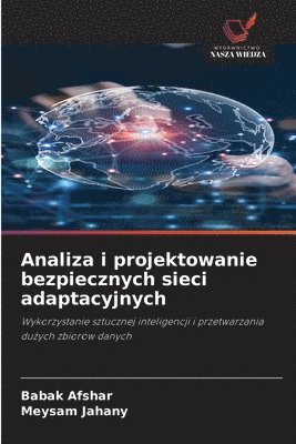 Babak Afshar, Meysam Jahany - Analiza i projektowanie bezpiecznych sieci adaptacyjnych, Häftad