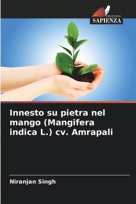 Innesto su pietra nel mango (Mangifera indica L.) cv. Amrapali