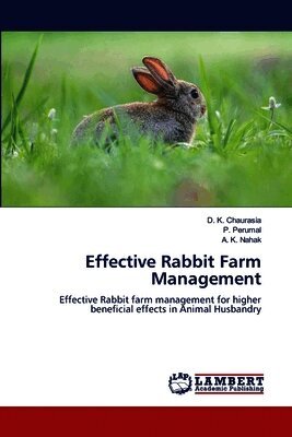 Effective Rabbit Farm Management
