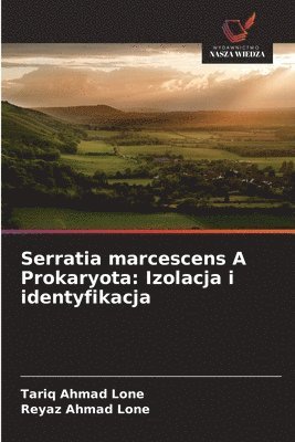 Serratia marcescens A Prokaryota