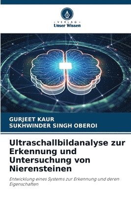 Ultraschallbildanalyse zur Erkennung und Untersuchung von Nierensteinen