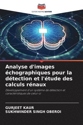 Analyse d'images échographiques pour la détection et l'étude des calculs rénaux