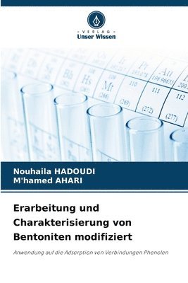 Erarbeitung und Charakterisierung von Bentoniten modifiziert