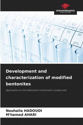 Development and characterization of modified bentonites