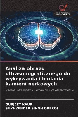 Analiza obrazu ultrasonograficznego do wykrywania i badania kamieni nerkowych