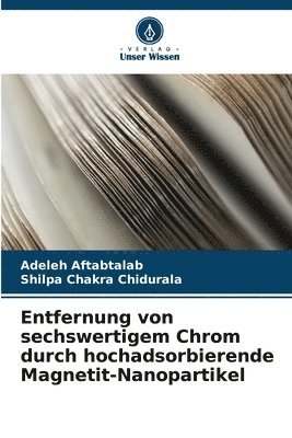 Entfernung von sechswertigem Chrom durch hochadsorbierende Magnetit-Nanopartikel