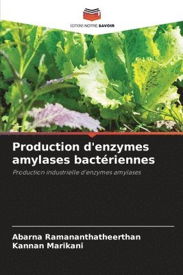 Production d'enzymes amylases bactériennes