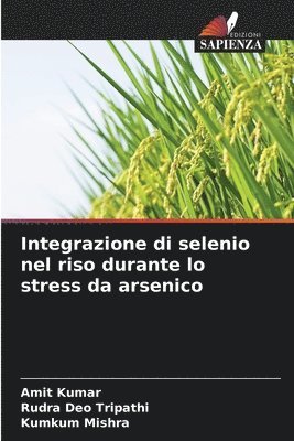 Integrazione di selenio nel riso durante lo stress da arsenico