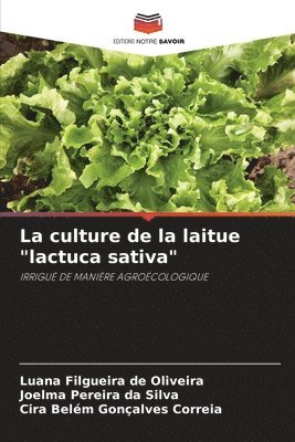 culture de la laitue "lactuca sativa"
