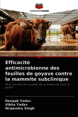 Deepak Yadav, Vibha Yadav, Nripendra Singh - Efficacité antimicrobienne des feuilles de goyave contre la mammite subclinique, Häftad