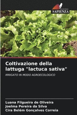 Coltivazione della lattuga "lactuca sativa"