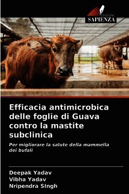 Deepak Yadav, Vibha Yadav, Nripendra Singh - Efficacia antimicrobica delle foglie di Guava contro la mastite subclinica, Häftad
