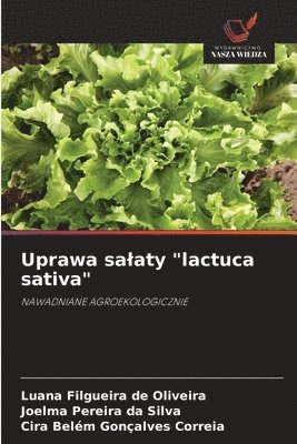 Uprawa salaty "lactuca sativa"