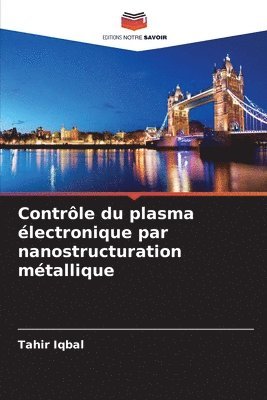 Contrôle du plasma électronique par nanostructuration métallique
