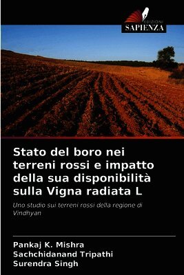 Pankaj K Mishra, Sachchidanand Tripathi, Surendra Singh - Stato del boro nei terreni rossi e impatto della sua disponibilità sulla Vigna radiata L, Häftad