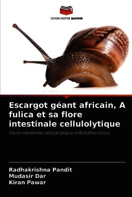 Escargot géant africain, A fulica et sa flore intestinale cellulolytique