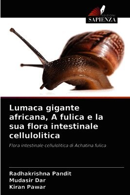 Lumaca gigante africana, A fulica e la sua flora intestinale cellulolitica