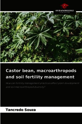 Castor bean, macroarthropods and soil fertility management