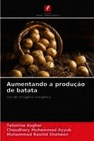Aumentando a produção de batata
