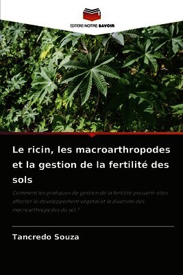 Le ricin, les macroarthropodes et la gestion de la fertilité des sols