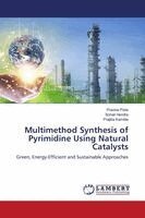 Pravina Piste, Sonali Hendre, Prajkta Kamble - Multimethod Synthesis of Pyrimidine Using Natural Catalysts, Häftad