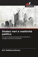 Eric Anthony Johnson - Sindaci neri e reattività politica, Häftad