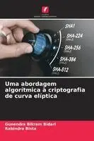 Uma abordagem algorítmica à criptografia de curva elíptica