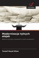 Tareef Hayat Khan - Modernizacja tylnych alejek, Häftad