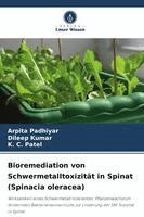 Arpita Padhiyar, Dileep Kumar, K C Patel - Bioremediation von Schwermetalltoxizität in Spinat (Spinacia oleracea), Häftad