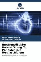 Milad Hosseinipour, Mohammad Elahinia - Intraventrikuläre Unterstützung für Patienten mit Herzinsuffizienz, Häftad