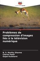 N S, Charmi Patel, Gopal Kulakarni - Problèmes de compression d'images liés à la télévision numérique, Häftad