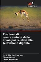N S, Charmi Patel, Gopal Kulakarni - Problemi di compressione delle immagini relativi alla televisione digitale, Häftad