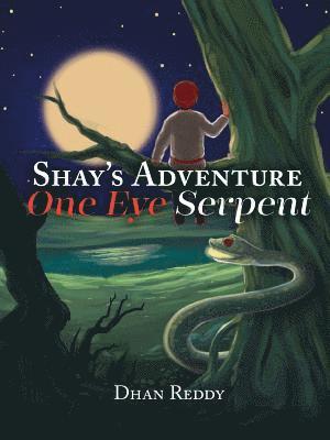 Dhan Reddy - Shay's Adventure, Häftad