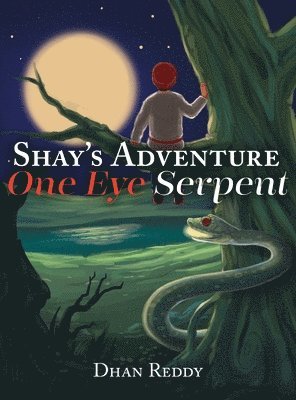 Dhan Reddy - Shay's Adventure, Inbunden