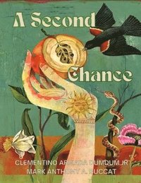 bokomslag Second Chance