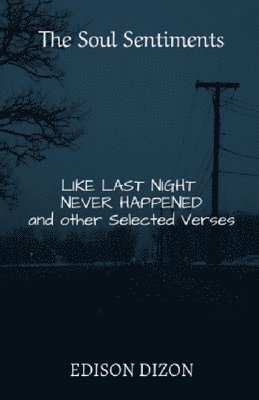 The Soul Sentiments: Like Last Night Never Happened 1