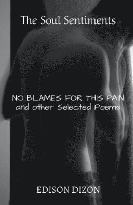 The Soul Sentiments: No Blames for This Pain 1